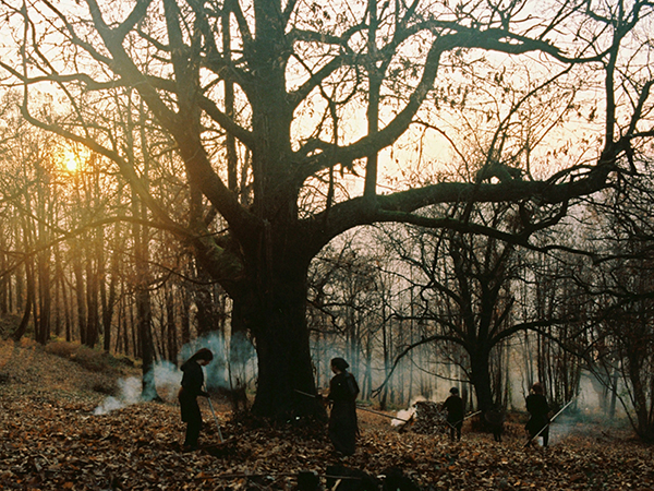 2021-07-23 MoMI Stories from the Chestnut Woods 4×3