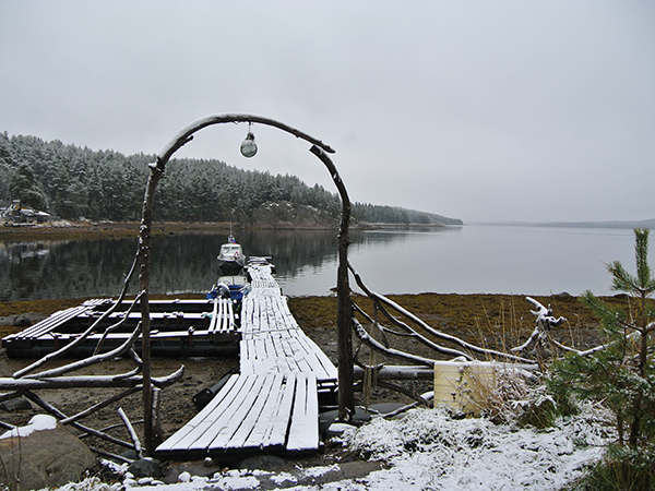 Between The Black Sea And The Bering Strait Environmental Histories Across A Subcontinent The