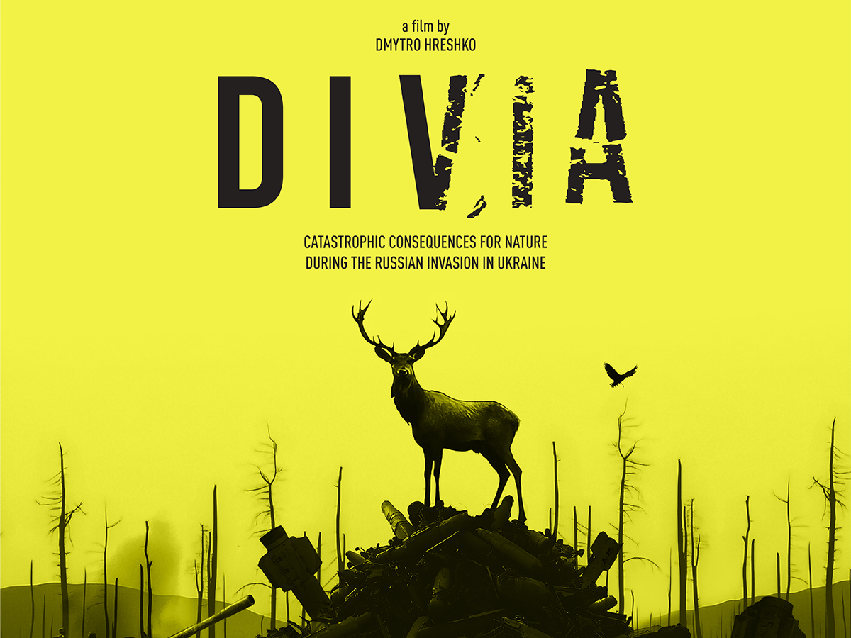 2025-10-22 Ukrainian Film Club Divia film poster. Image links to event page.