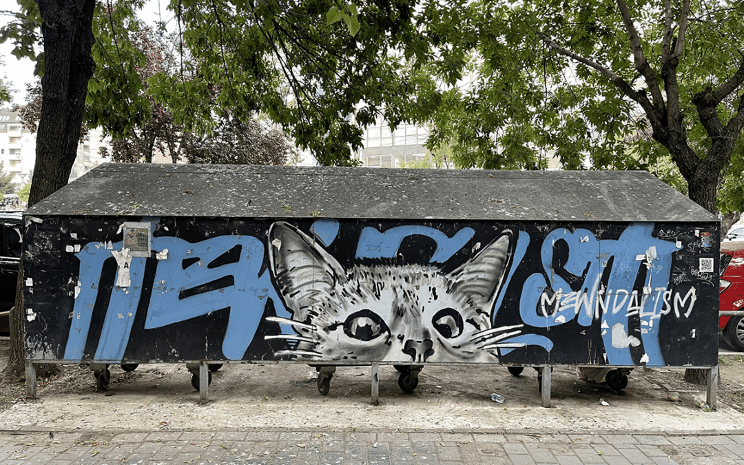 Scenes from the Field