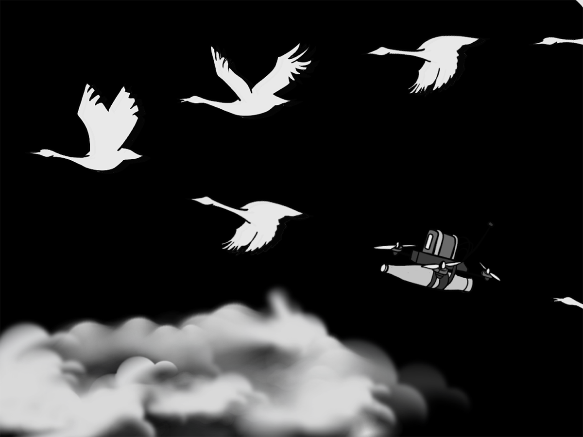 Image of birds flying and a missile. Image links to event page.